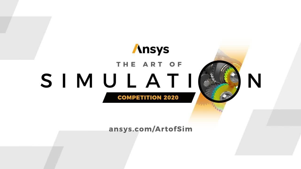 The Art of Simulation 2020 Image Competition