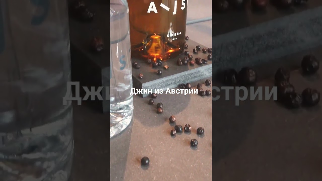 Австрийский джин, вино и кофе. Проведу вам дегустацию.  Ваш гид в Граце и Штирии.