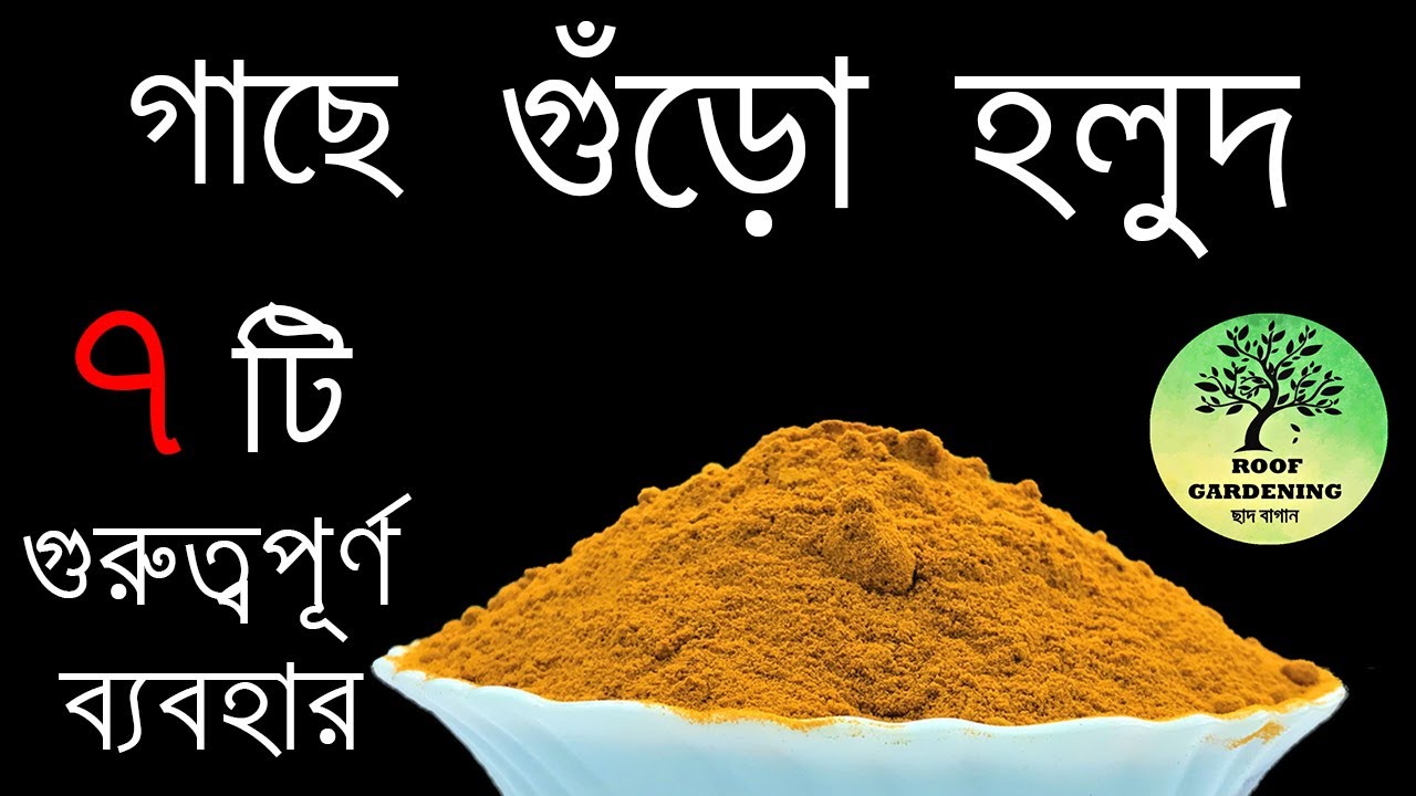 গাছে হলুদের ৭ টি গুরুত্বপূর্ণ ব্যবহার  / Best 7 uses of turmeric for plants