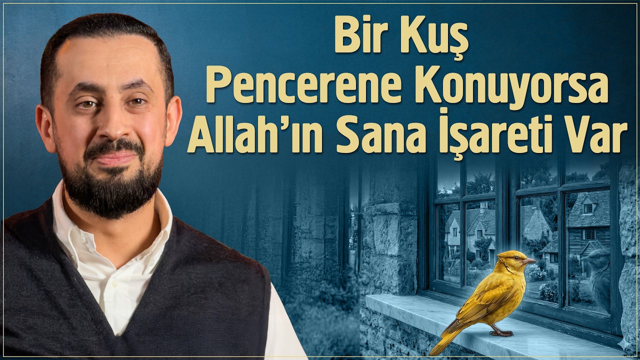 Bir Kuş Pencerene Konuyorsa Allah'ın Sana İşareti Var - Zincirleme Tevafuk