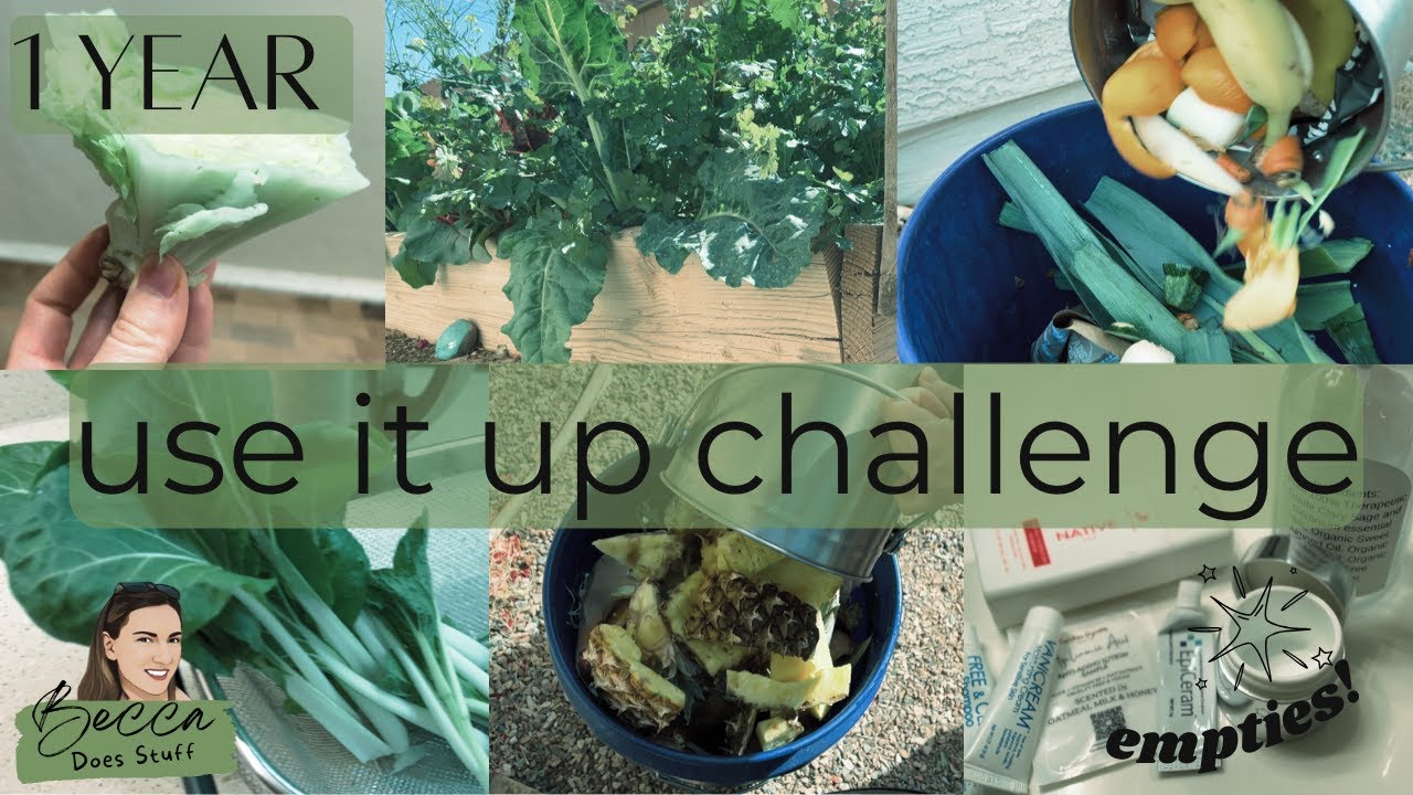 1 Year Use It Up Challenge!
