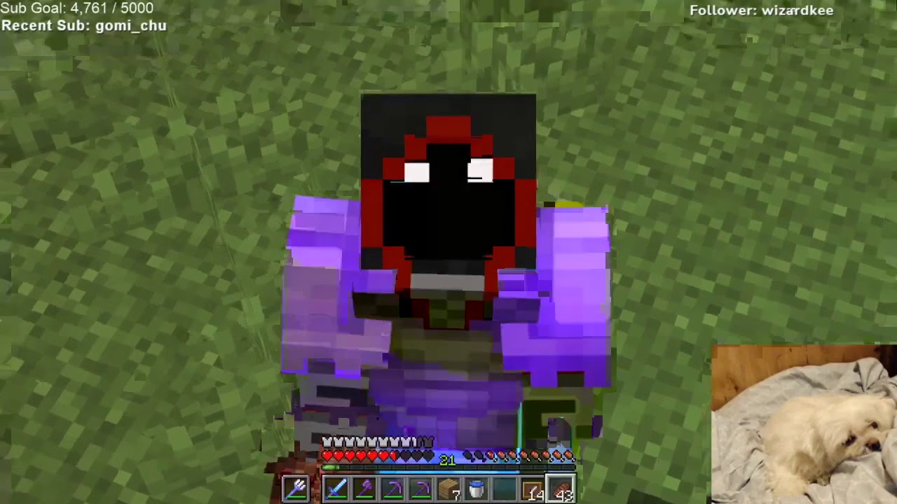 Who Would BadBoyHalo Save? Skeppy Or The Egg?