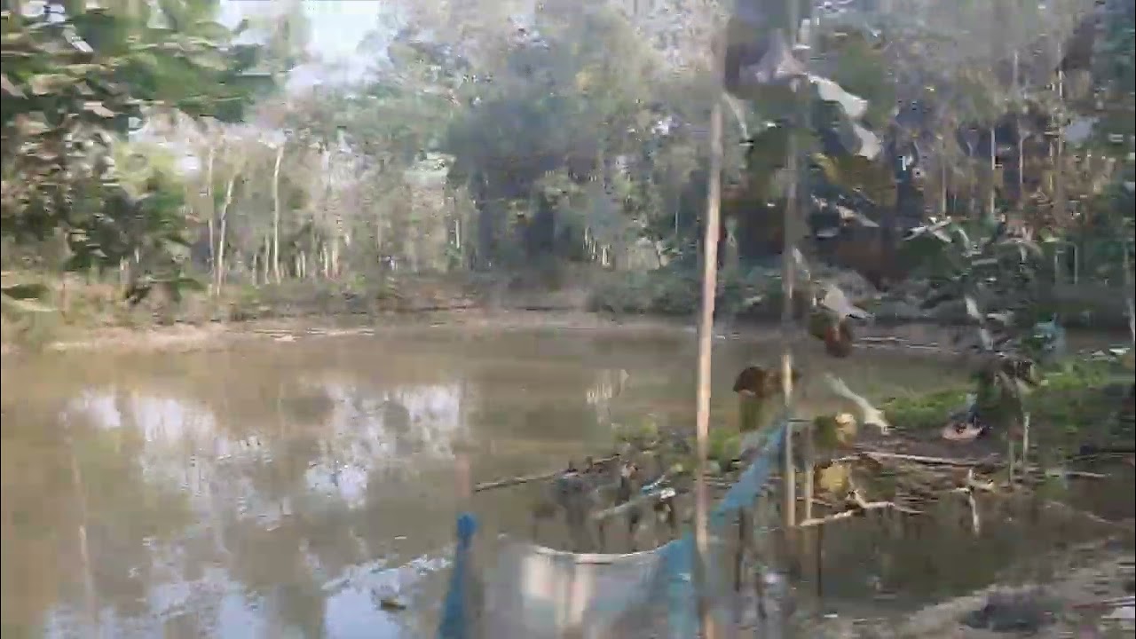 আমাদের গ্রামের চাঁন গাজি মান গাজি দেখানো হবে 