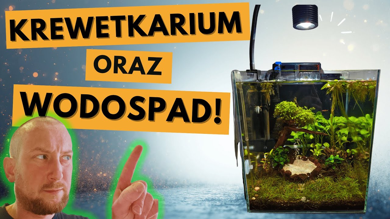 Krewetkarium z wodospadem &ndash; m&oacute;j nowy projekt!
