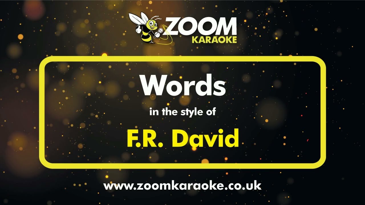 FR David - Words - Karaoke Version from Zoom Karaoke