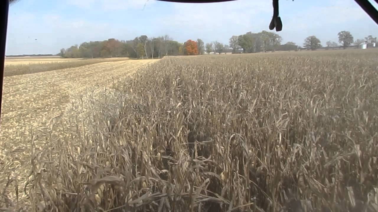 Harvest time - Inside the Combine's Cab