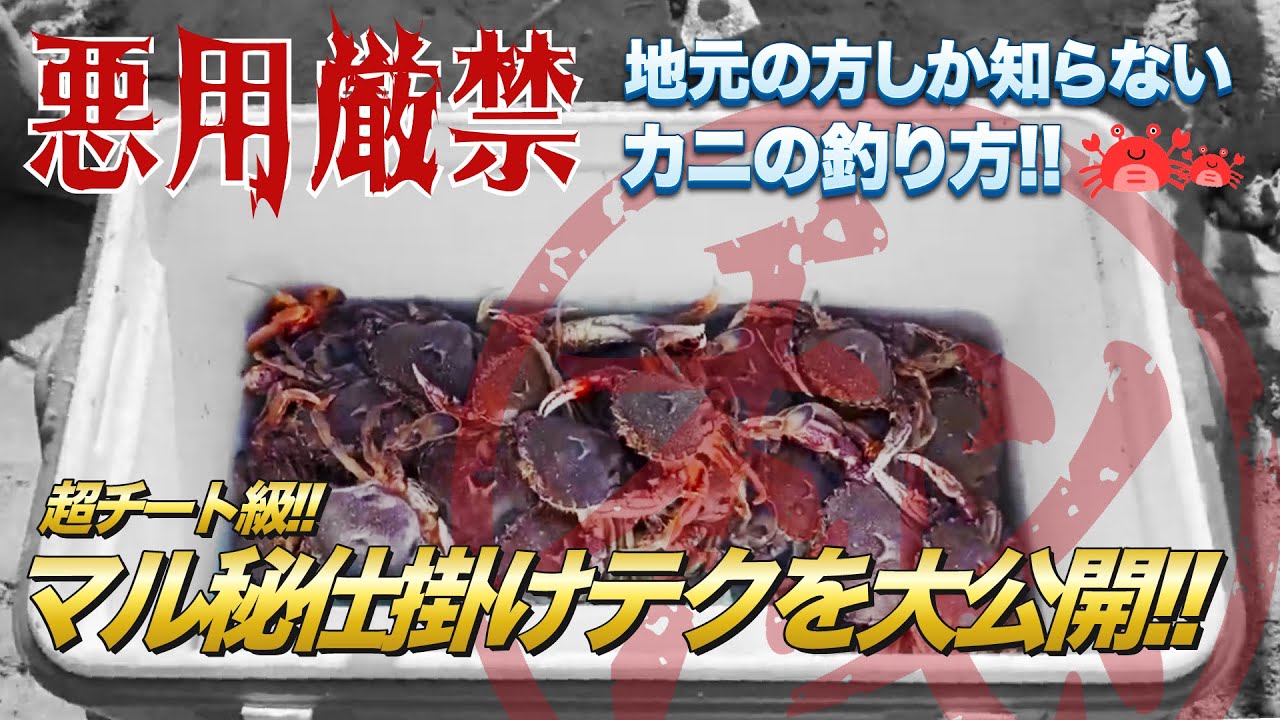 【悪用厳禁!!】地元の方しか知らないカニの釣り方!!マル秘仕掛けテク大公開!!