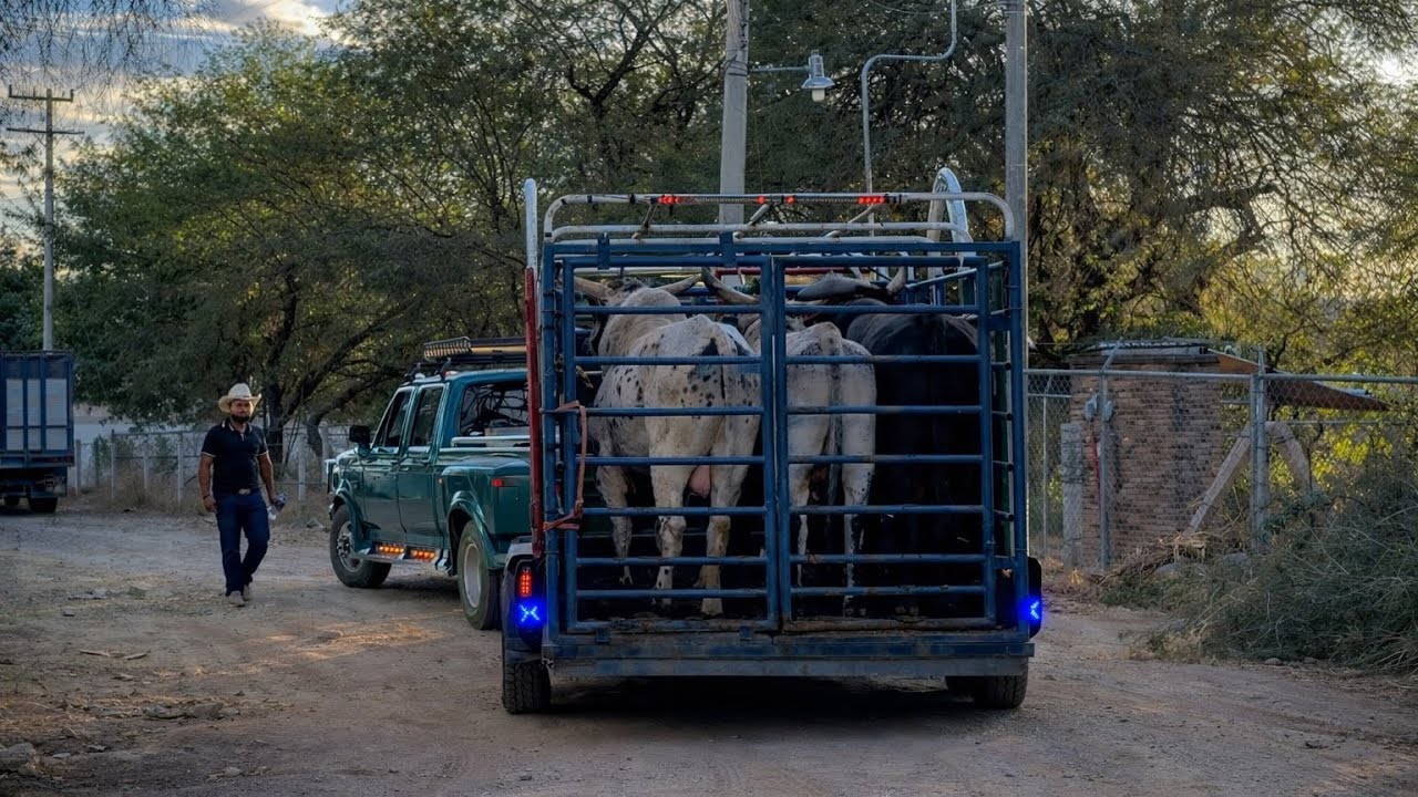¡¡NOCHE DE PORRAZOS!! RANCHO LA LIBERTAD EN SAN PEDRO YELOIXTLAHUACA. PUEBLA 🐂🐂