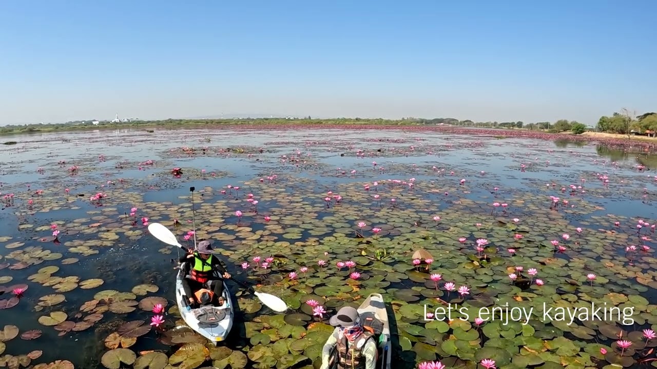 พายคายัคเที่ยวชมบัวแดง หนองหาร สกลนคร