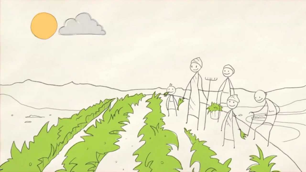 A História da Agricultura e a Economia Verde