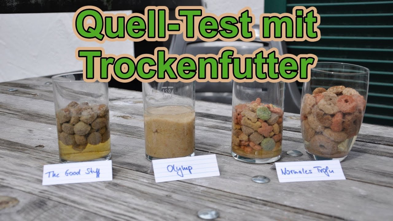 Wie stark quillt Hundefutter auf ? / Hundefutter Quelltest / Hundeernährung / Nature Trails