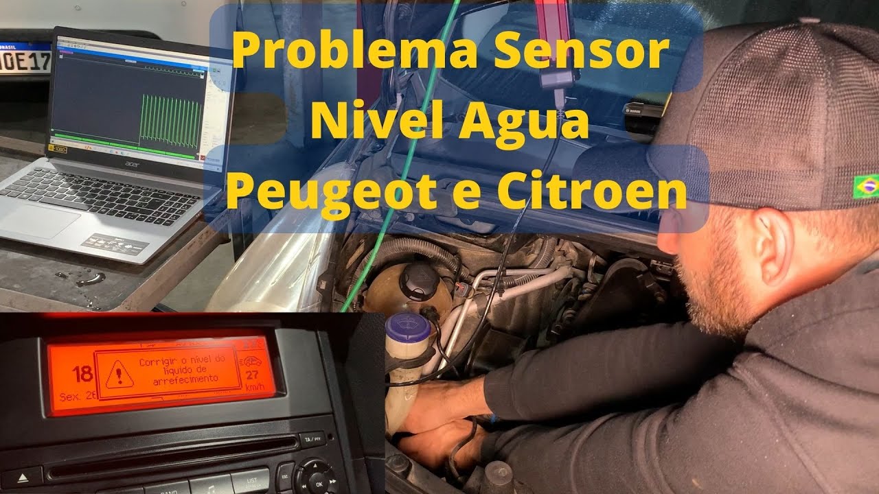 Resolvido Problema sensor nivel de Agua Peugeot e Citroen
