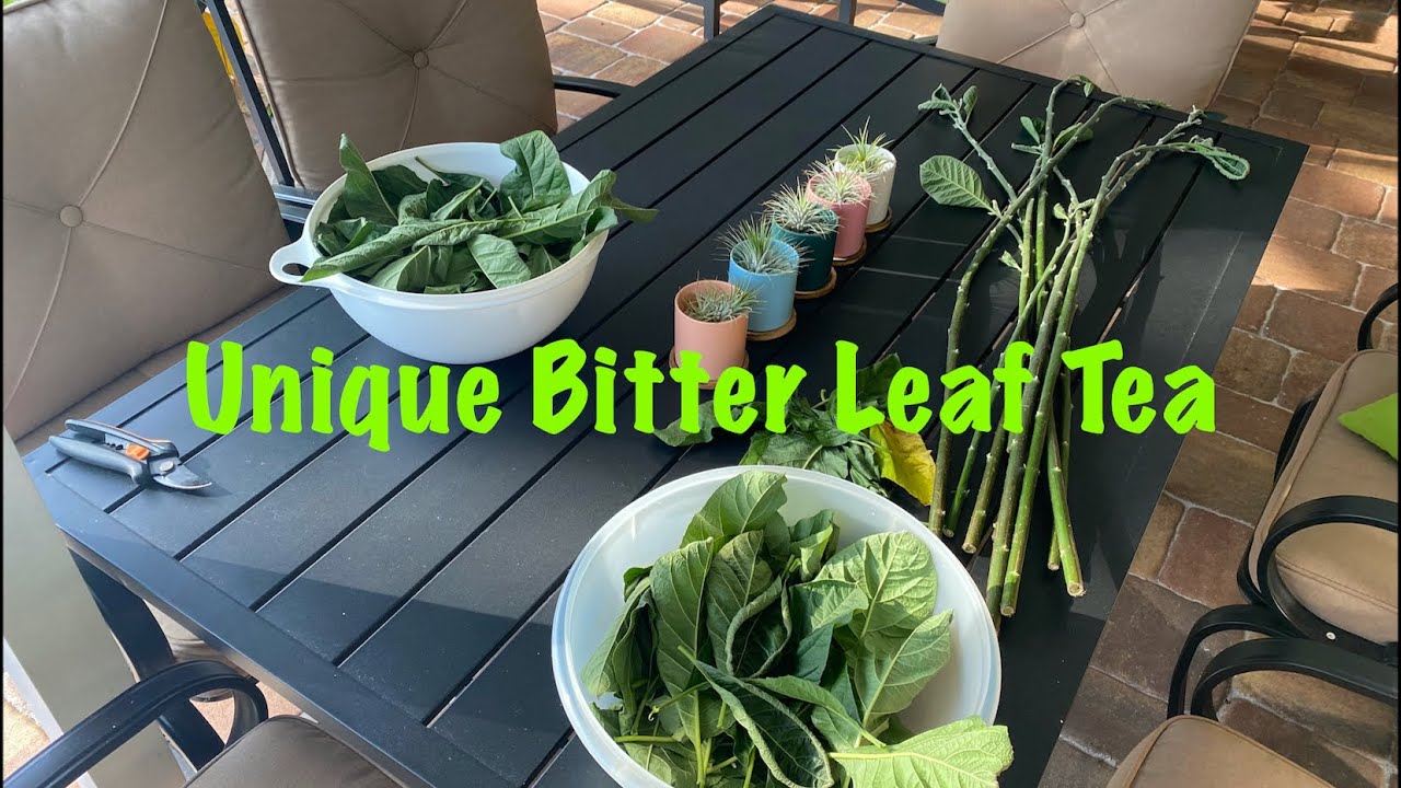 Unique Bitter Leaf Drink