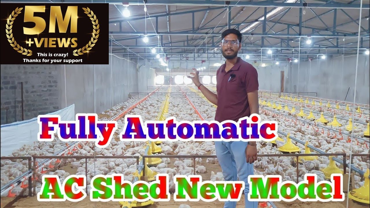Fully Automatic AC poultry farm  कैसे होता हैं size 40/210 का 12 हज़ार बर्ड की कैपेसिटी ac shed