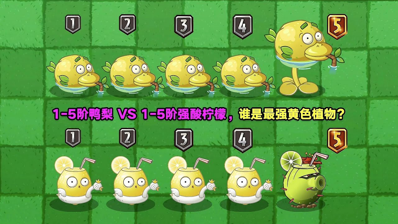1 5阶鸭梨 VS 1 5阶强酸柠檬，谁是最强黄色植物？植物大战僵尸2