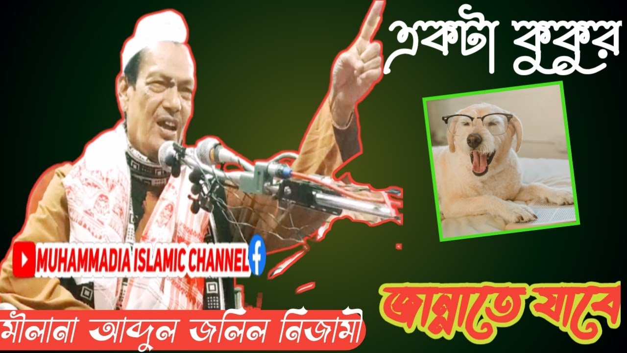 Hazrat Maulana Abdul Jalil Nizami Sahab || Abdul Jalil Nizami Ratabari || Bangla New Waz