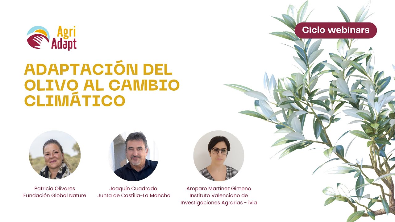 Webinar - Olivo y su adaptación al Cambio Climático
