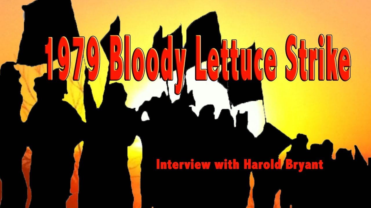 1979 Bloody Lettuce Strike Interview