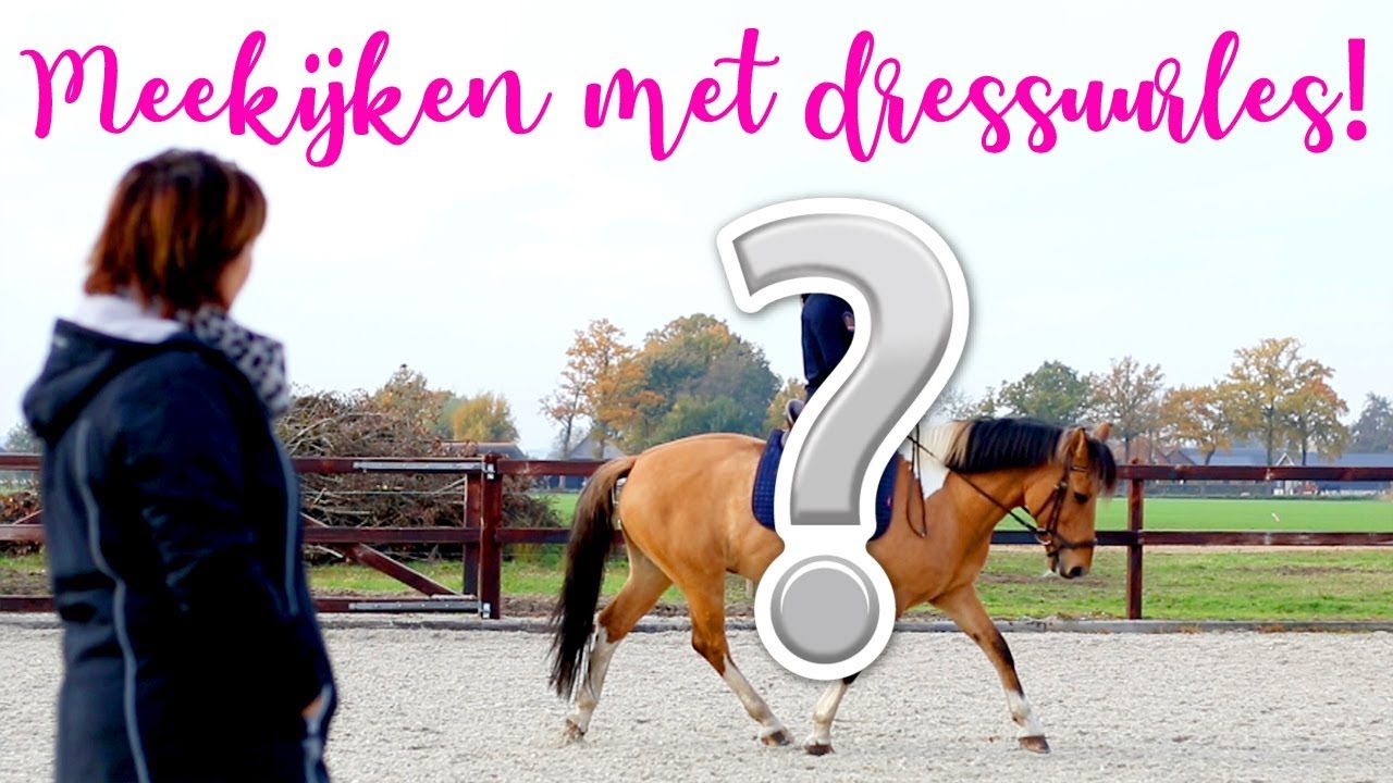 MET DIT GEHEIM WAS IK DE LAATSTE WEKEN BEZIG! | felinehoi