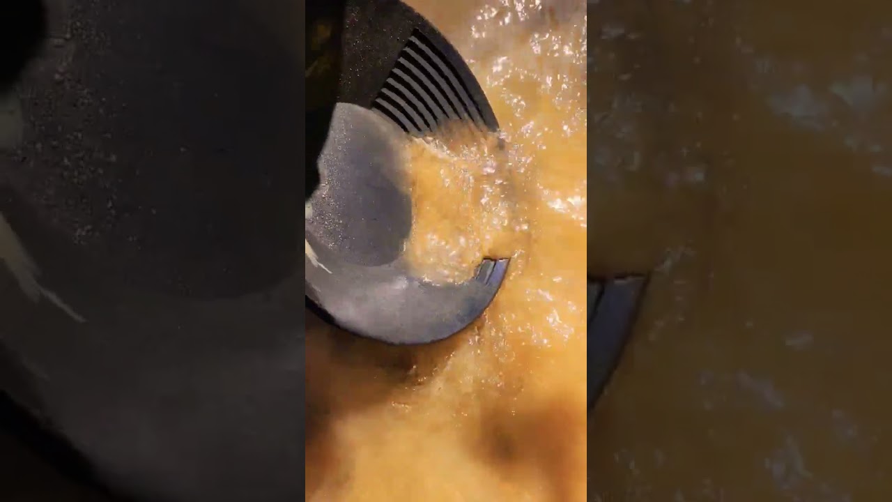 Testing for gold - new spot #gold #goldnuggets #goldprospecting #goldpanning #goldmining #goldpicker