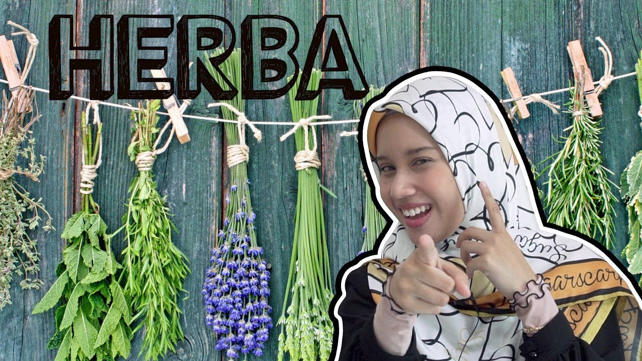 Herba