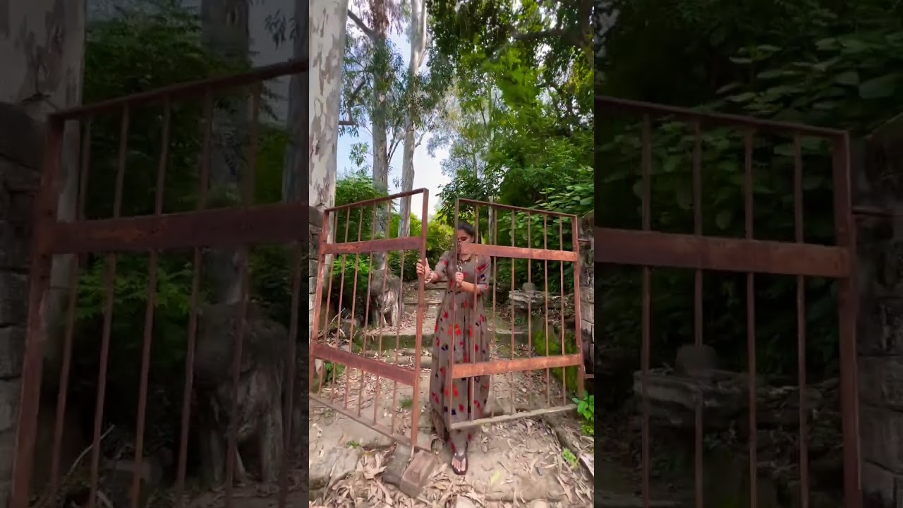 Hoshiarpur Museum entry gate #shorts