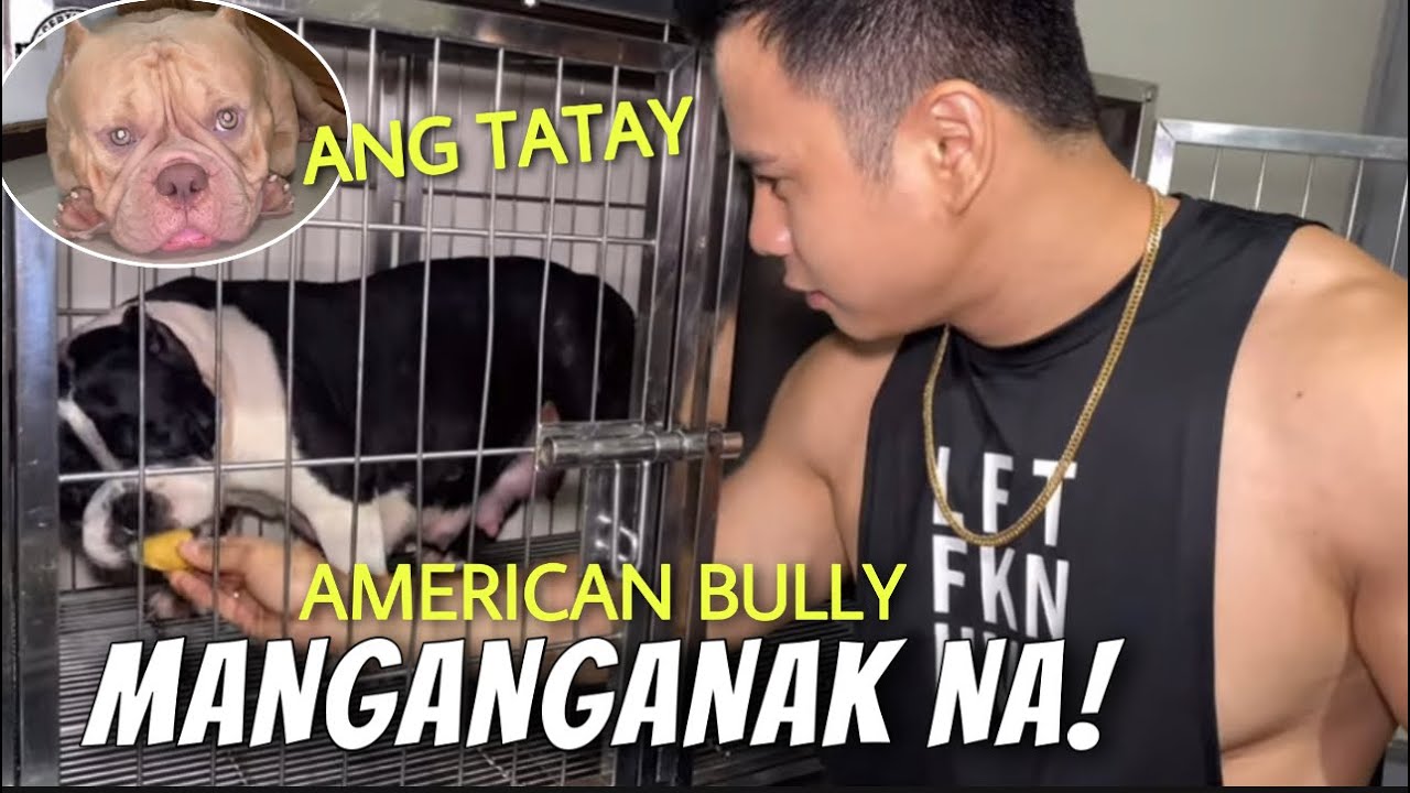 MANGANGANAK NA SI SAILORMOON! BULLY’S 60TH DAY OF PREGNANCY • Sam Walastik