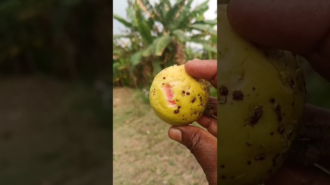 Ramji ( ராம்ஜி ) is live! தீண்டாமையை பற்றி பேசலாம்