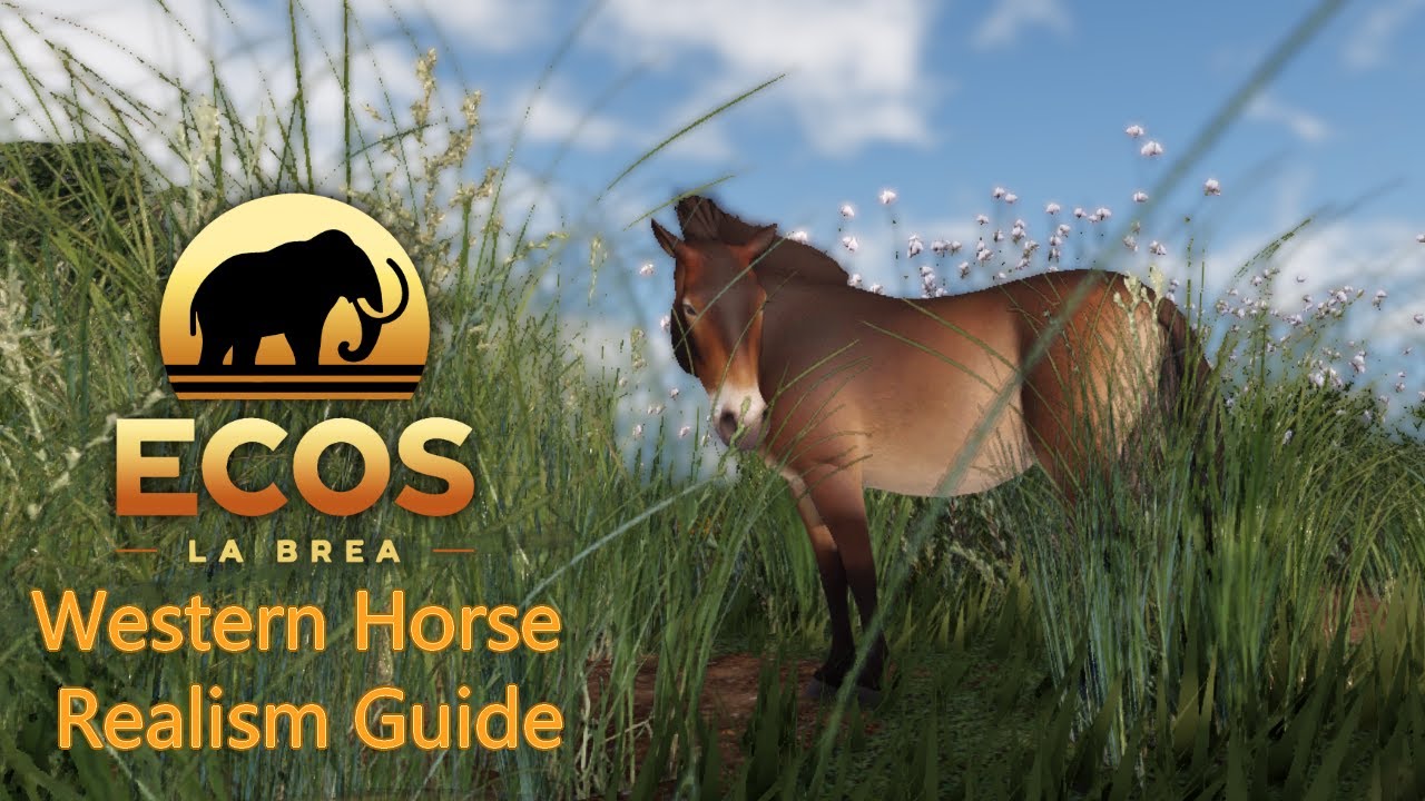 (OLD) Western Horse Realism Guide || Ecos La Brea Roblox