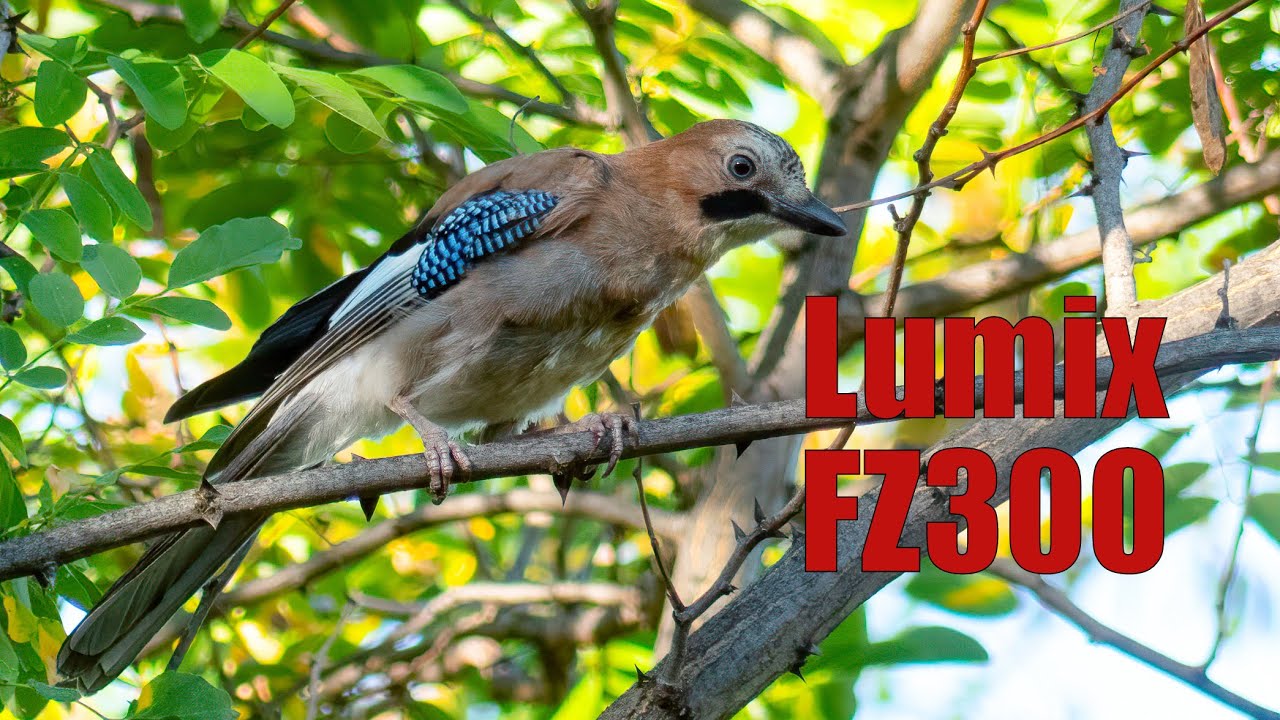 Jimmy M. Photography / Lumix FZ300