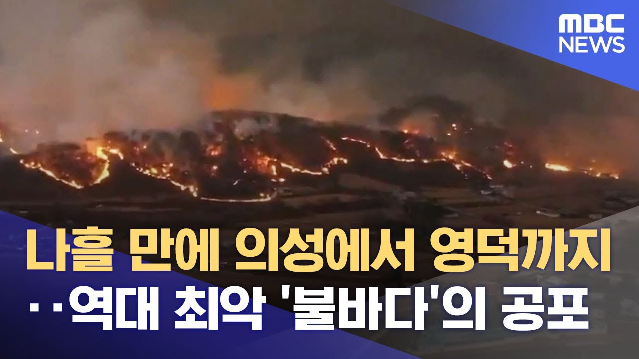 산불이 삼킨 3월의 경북, 그날의 기록 (2025.12.18/뉴스데스크/안동MBC)