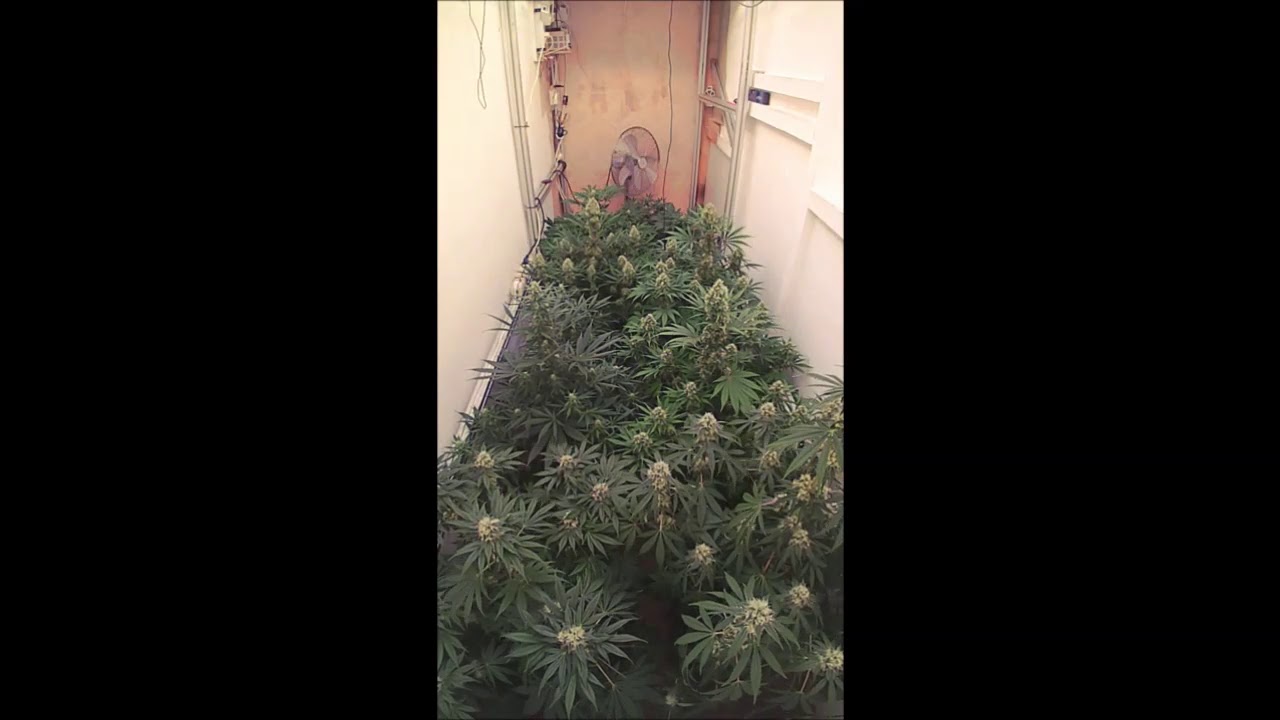 sanlight time lapse #4