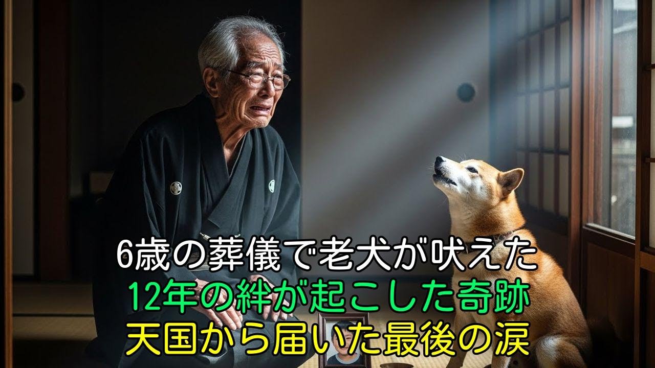 【涙腺崩壊】6歳の孫の葬儀で柴犬が突然吠え出した…5分後、天国の孫が起こした「最後の奇跡」に参列者全員が震えました。