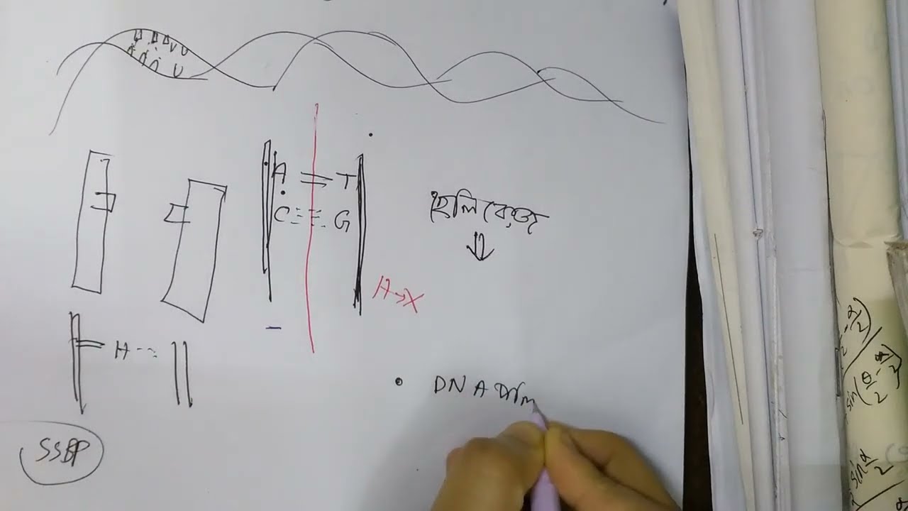 review before pre-test exam..DNA Replication🧬 19 January 2024..for better sound use earphone