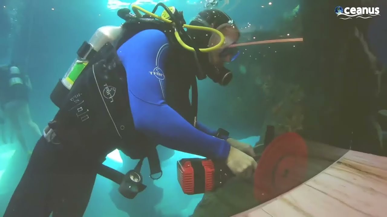 The DEADLIEST Job of Underwater Propeller Cleaning on Billion $ Ships
