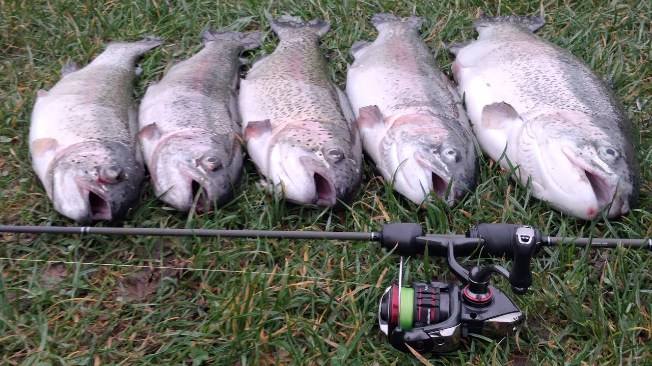 Harlev Put And Take - Sidste tur inden vinterlukning og, hvilken tur.😁🎣