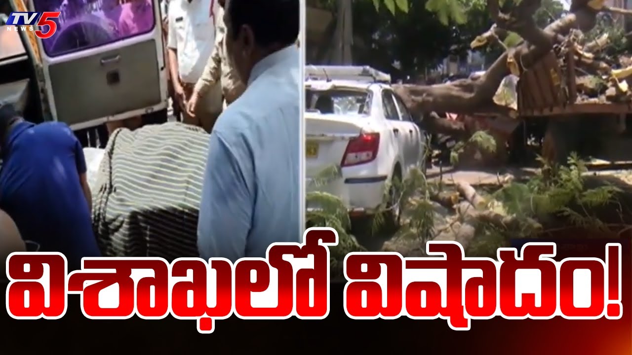 Heartbreaking: 38-Year-Old Woman Crushed by Tree in Visakhapatnam | TV5 News