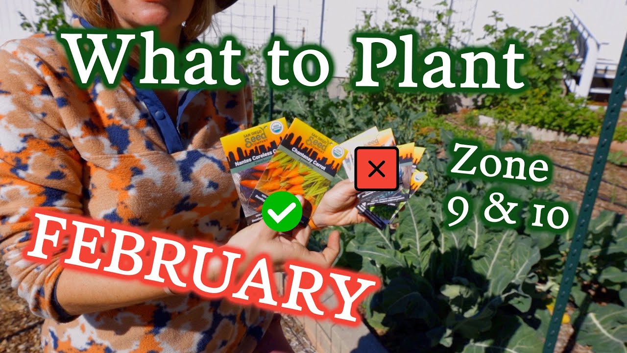 What to Plant in February for Zone 9 & 10 Gardeners