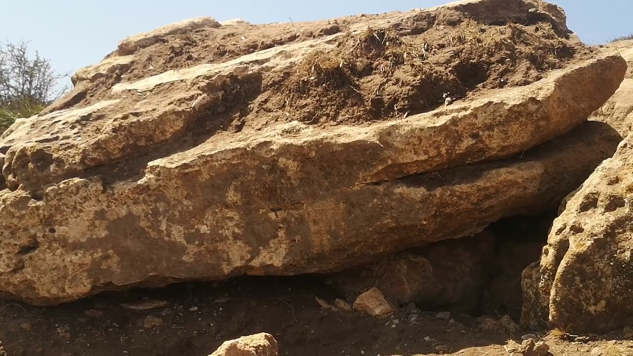 الرانات المغلقة العمل على إشارة سابقة انضر النتيجة