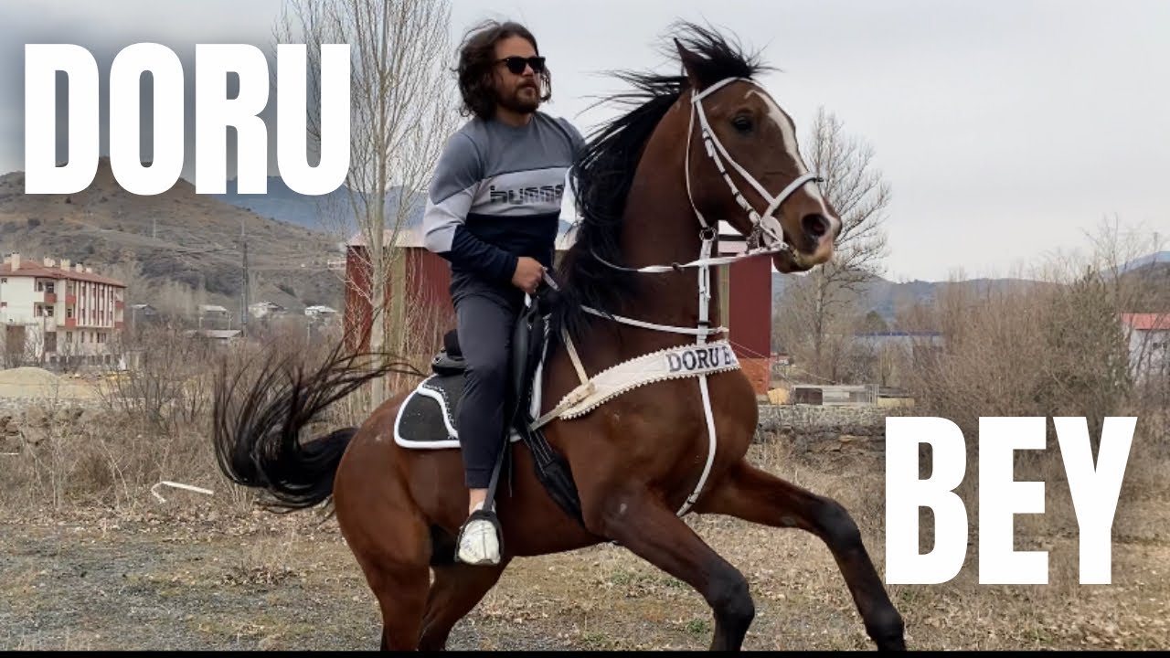 AT DORU BEY İLE BİRLİKTEYİZ , BAHÇEDE İŞLER DURAKSADI YAĞMURDAN
