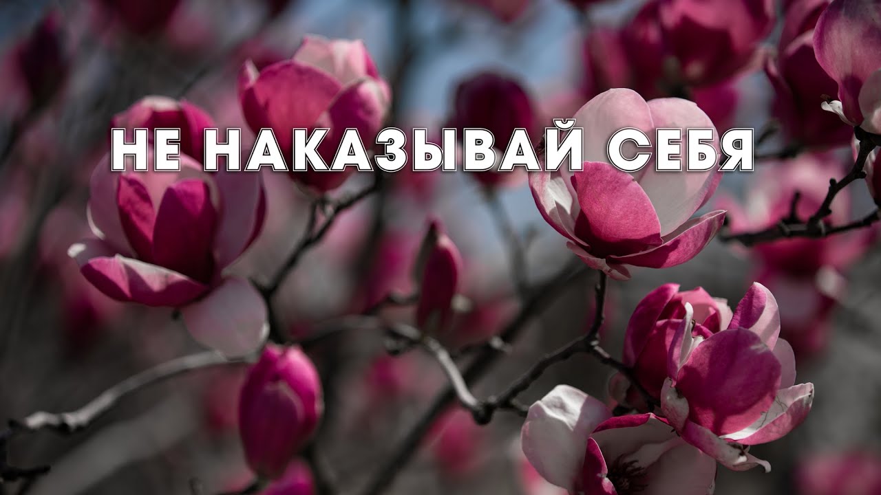Не наказывай себя. Стихи