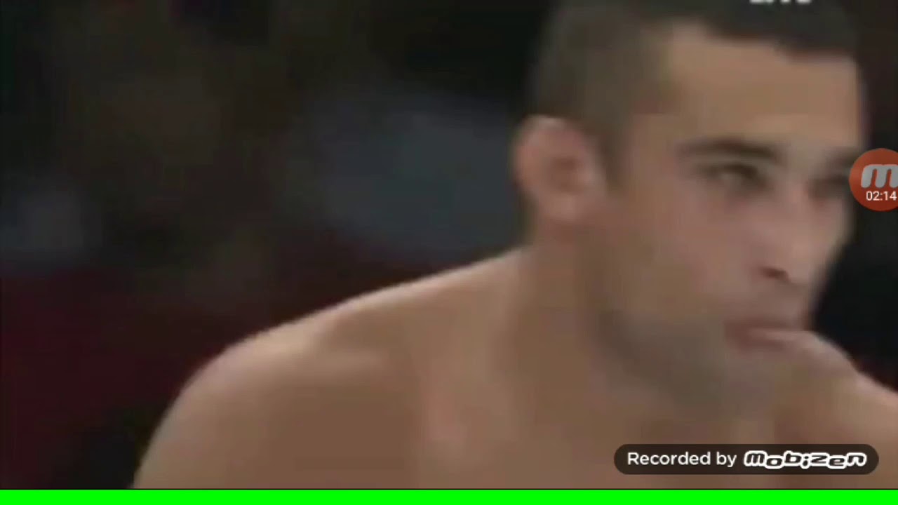 Fabricio werdum all losses