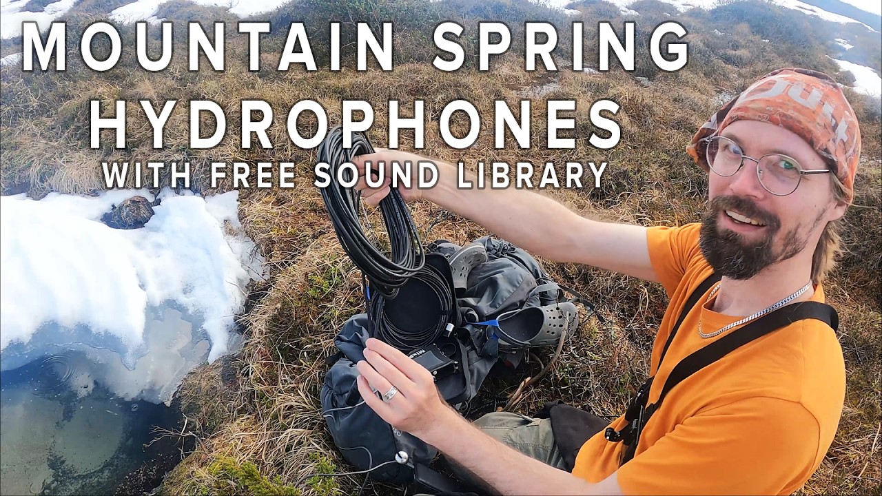 Field Recording Lapland Ep. 20: Mountain Spring