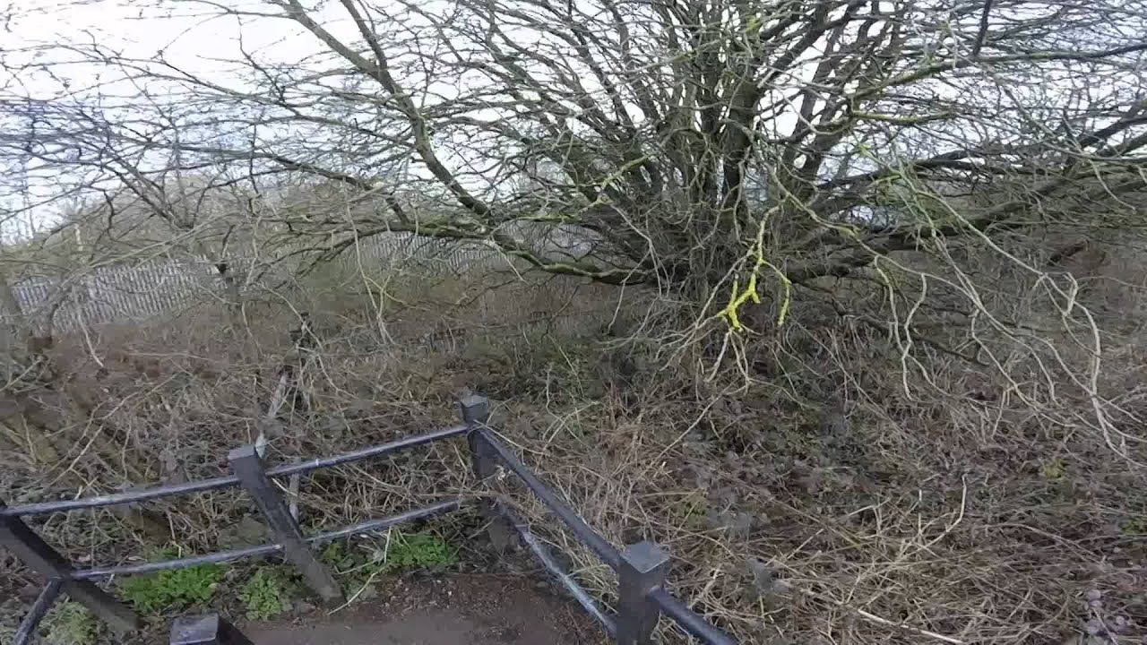 Willenhall Railway & Neachells Canal