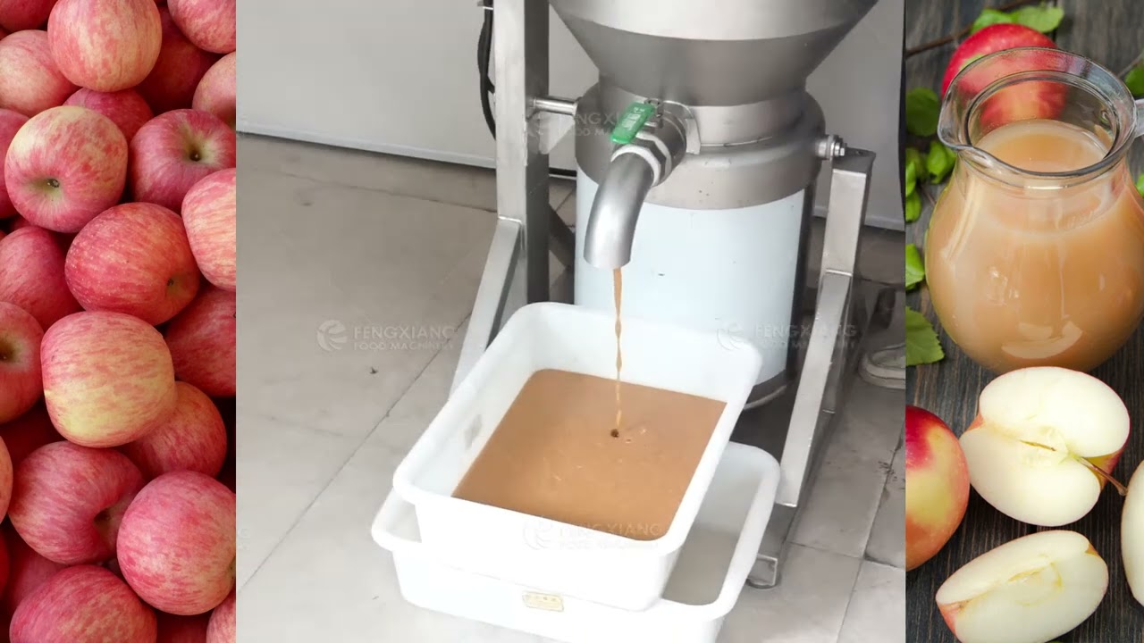 FC-310 Vegetable And Fruit Blender Spinach Juice Apple Mango Pineapple Cactus Crusher Machine