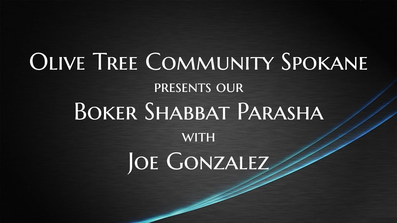 5/17/25 Main Teaching from Olive Tree Community Spokane with Joe Gonzalez