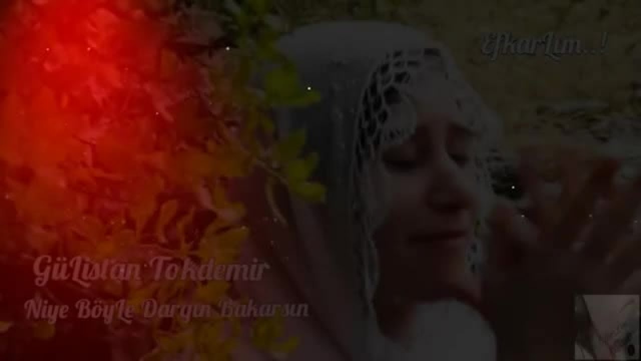 Haşim&Gülistan Tokdemir - Niye böyle dargın Bakarsın