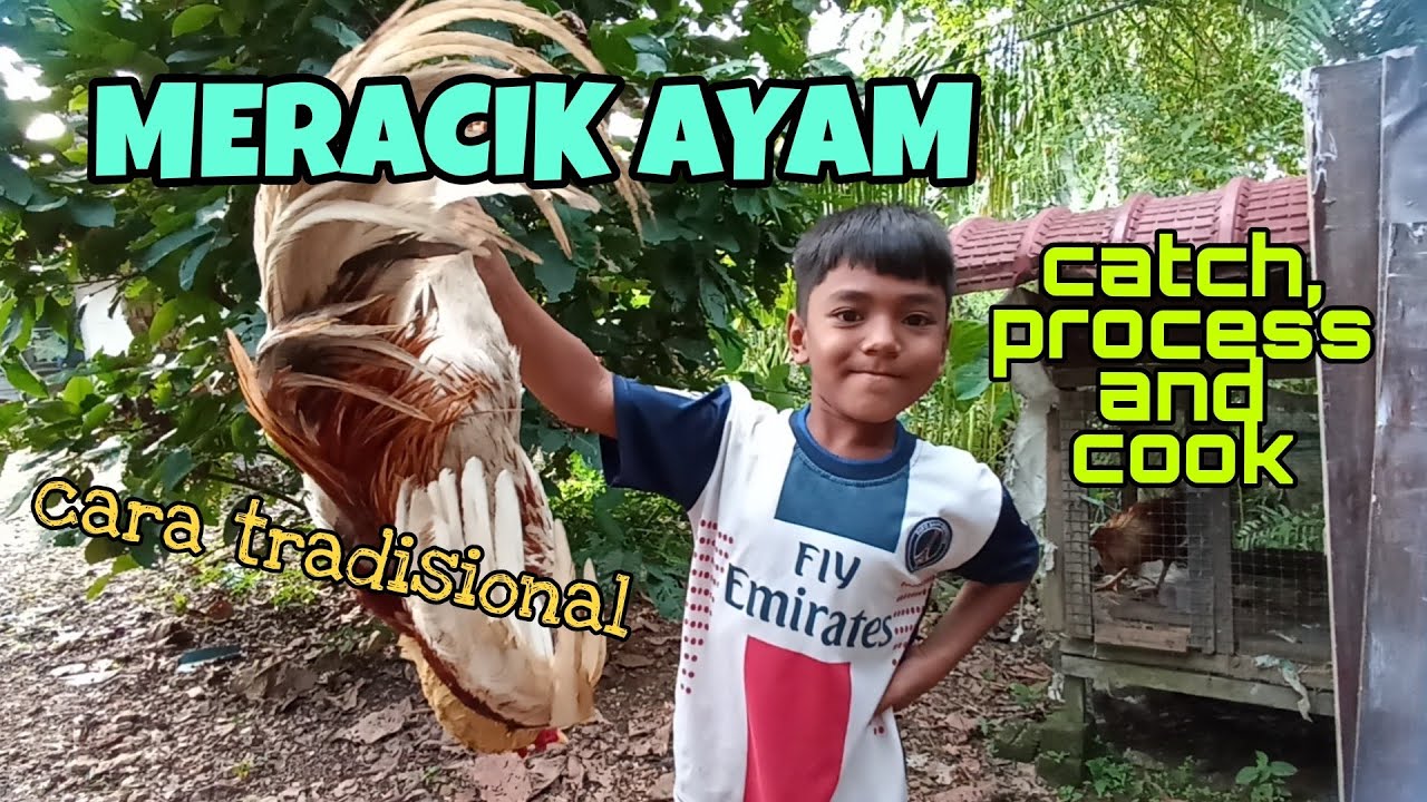 #EP326 Tangkap Ayam Cara Tradisional dan Terus Proses
