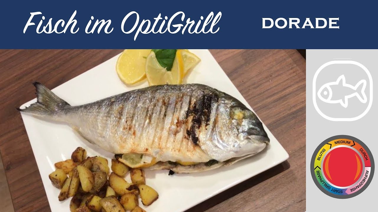Fisch im Tefal OptiGrill | Dorade