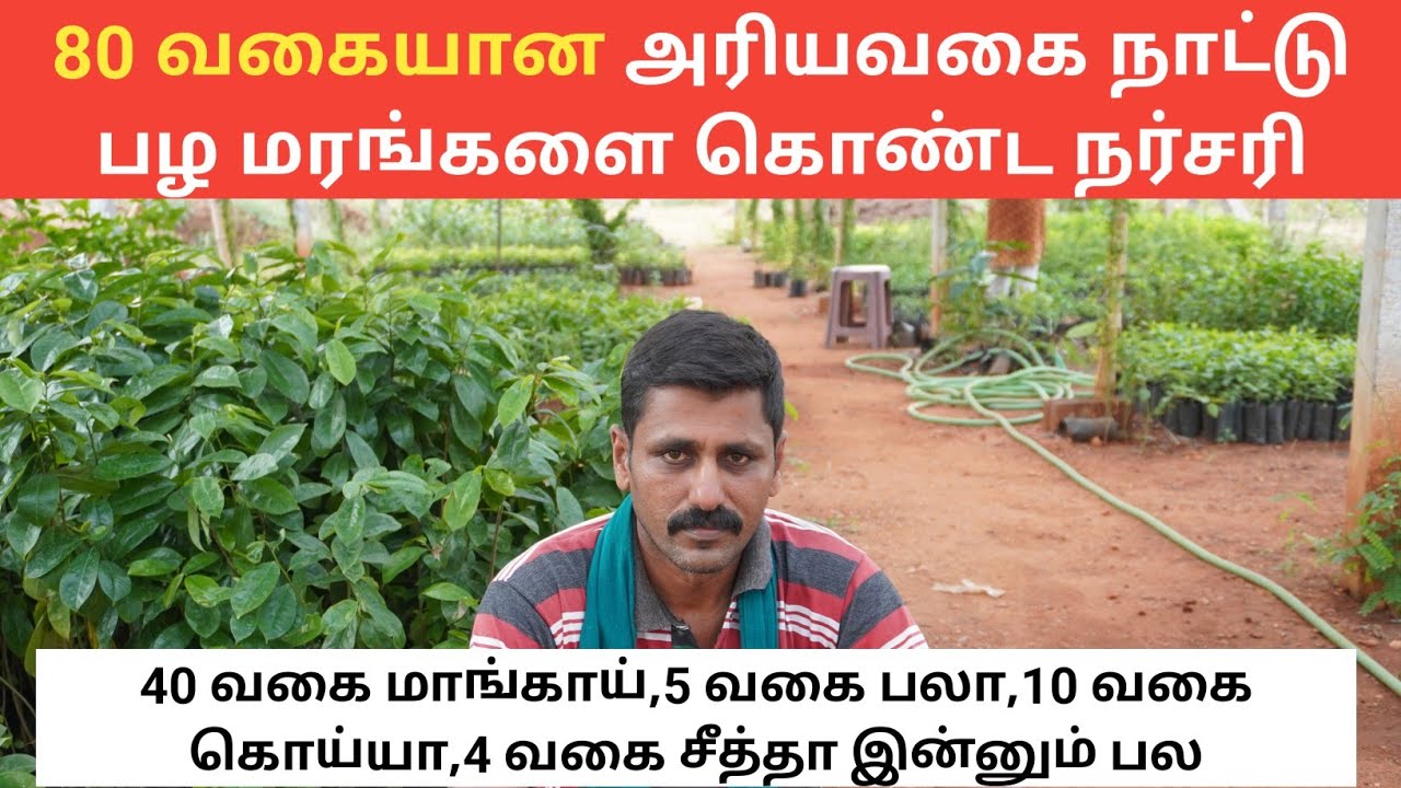 80 விதமான அரிய வகை பழ மரங்கன்றைக் கொண்ட நர்சரி | Mohan nursery Coimbatore